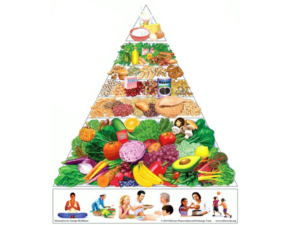 Bar chart showing resting metabolic rate (RMR) contribution to total daily energy expenditure: RMR 60-75%, physical activity 15-30%, thermic effect of food 10%